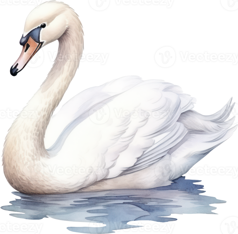 Watercolor white swan illustration. AI Generated png