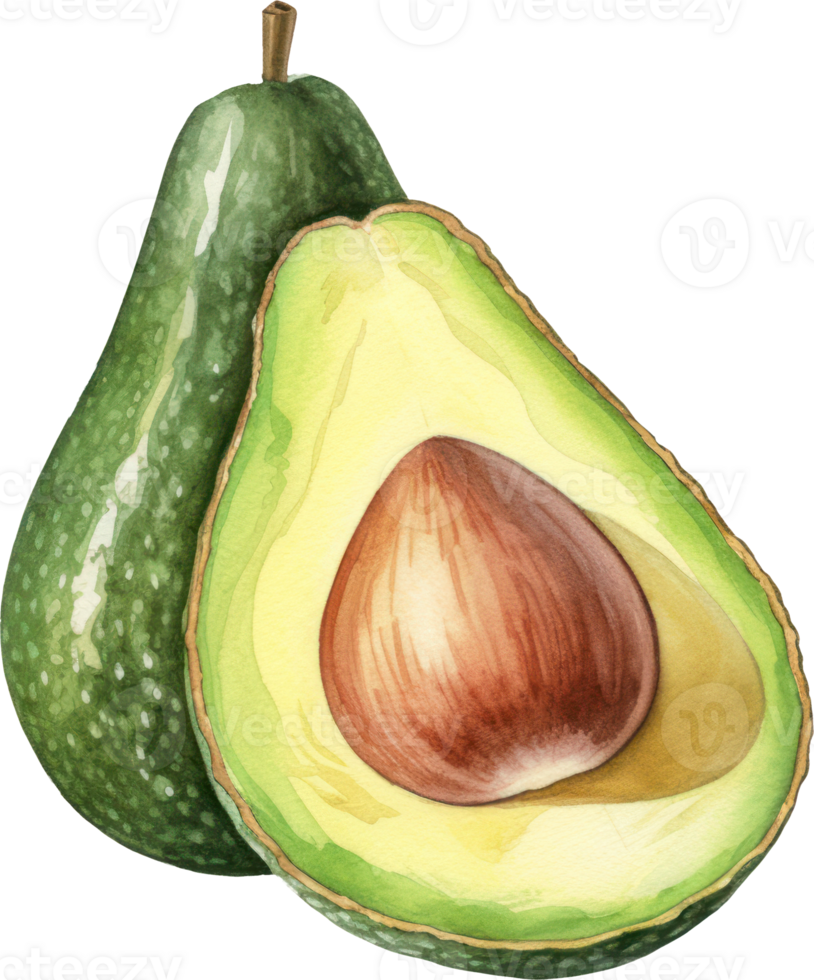 Avocado watercolor illustration. AI Generated png