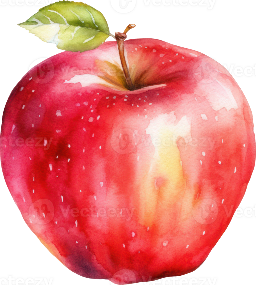 Red Apple Watercolor Illustration. png