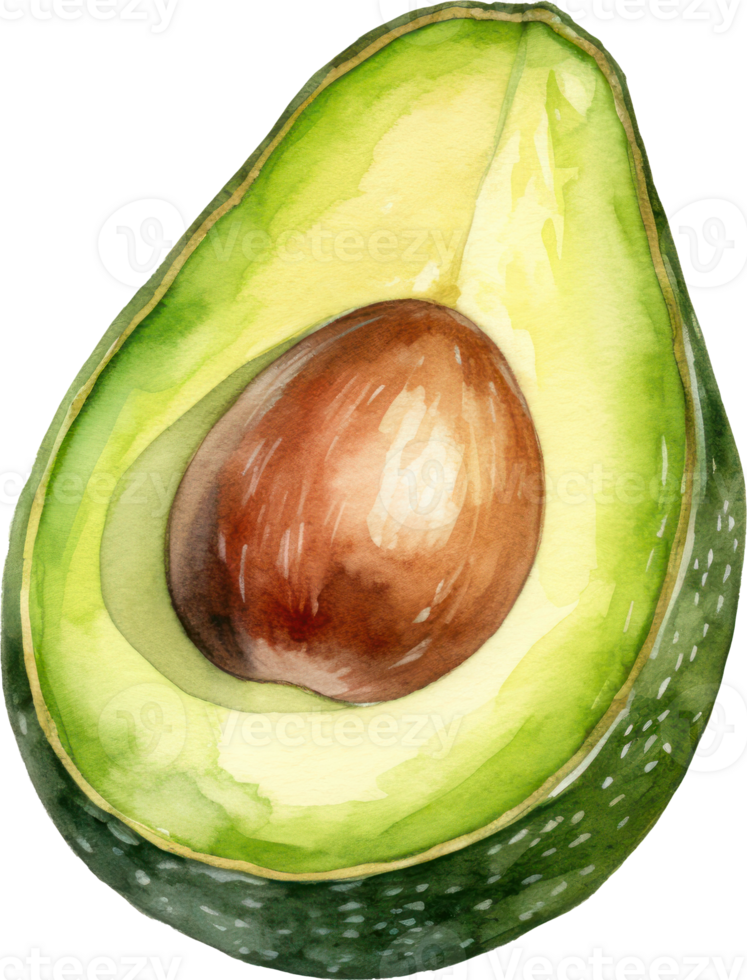 Avocado watercolor illustration. AI Generated png