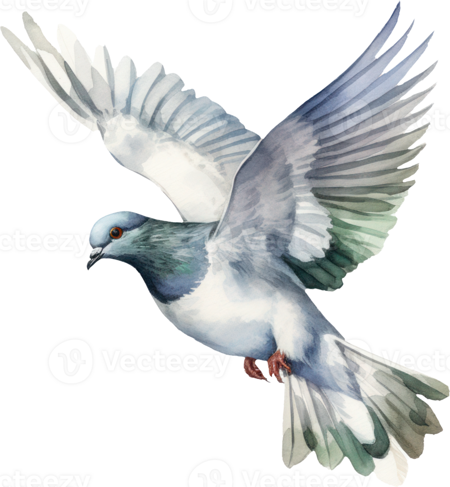 Pigeon bird watercolor illustration. AI Generated png