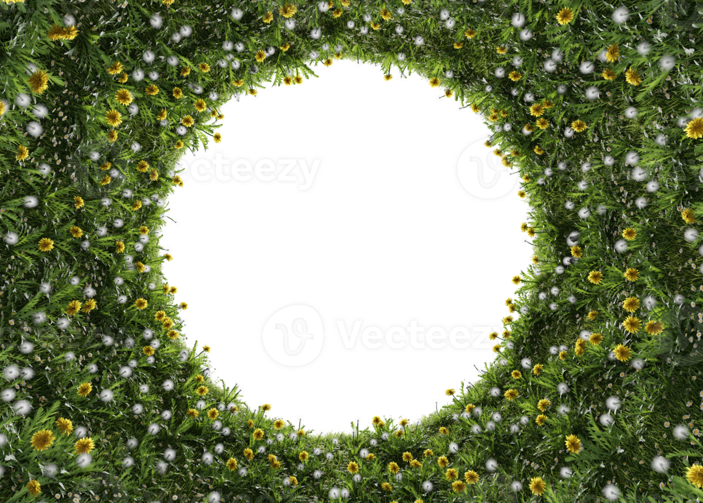 flower yellow and grass plants in vertical garden form on a transparent background. png