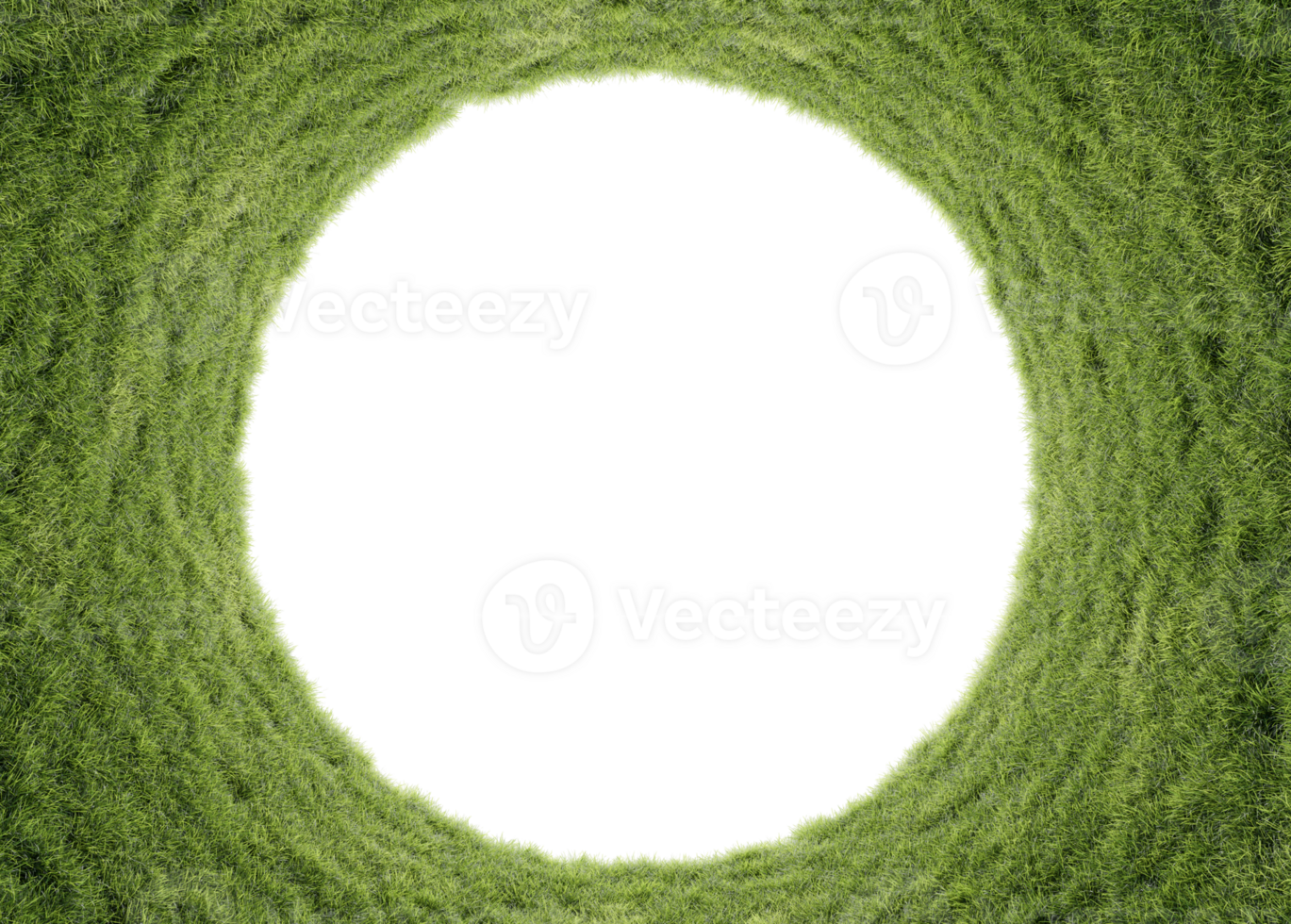 grass plants in vertical garden form on a transparent background. png