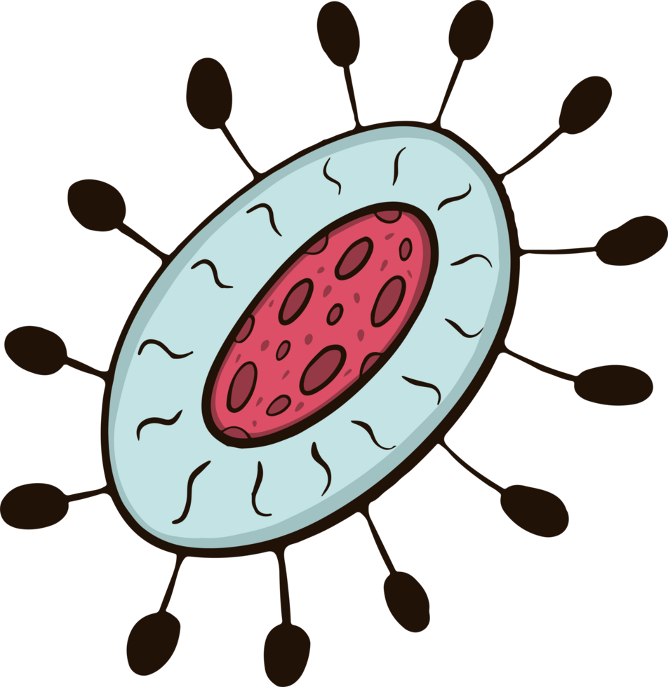 bacteri virus doodle png