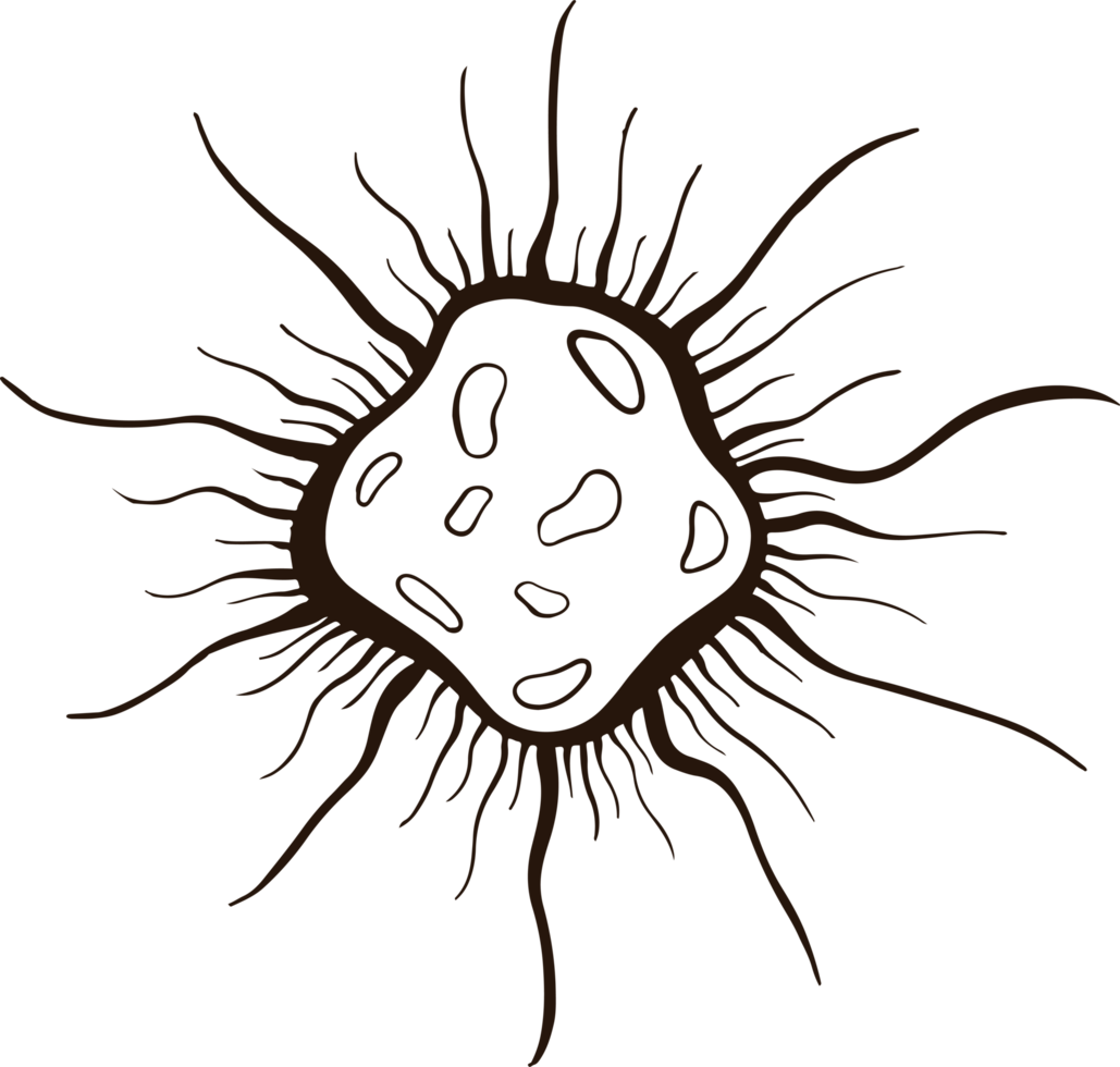 bacteri virus doodle png