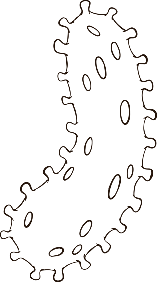 bacteri virus doodle png