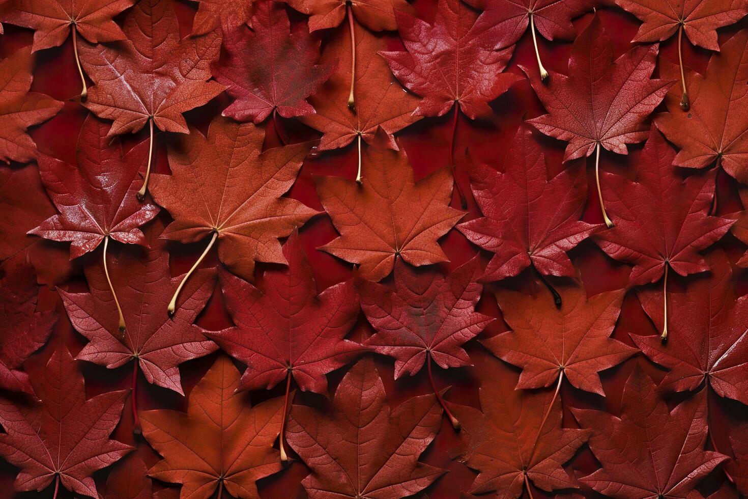 Wine red autumn leaves texture, fall nature background,  AI Generative photo