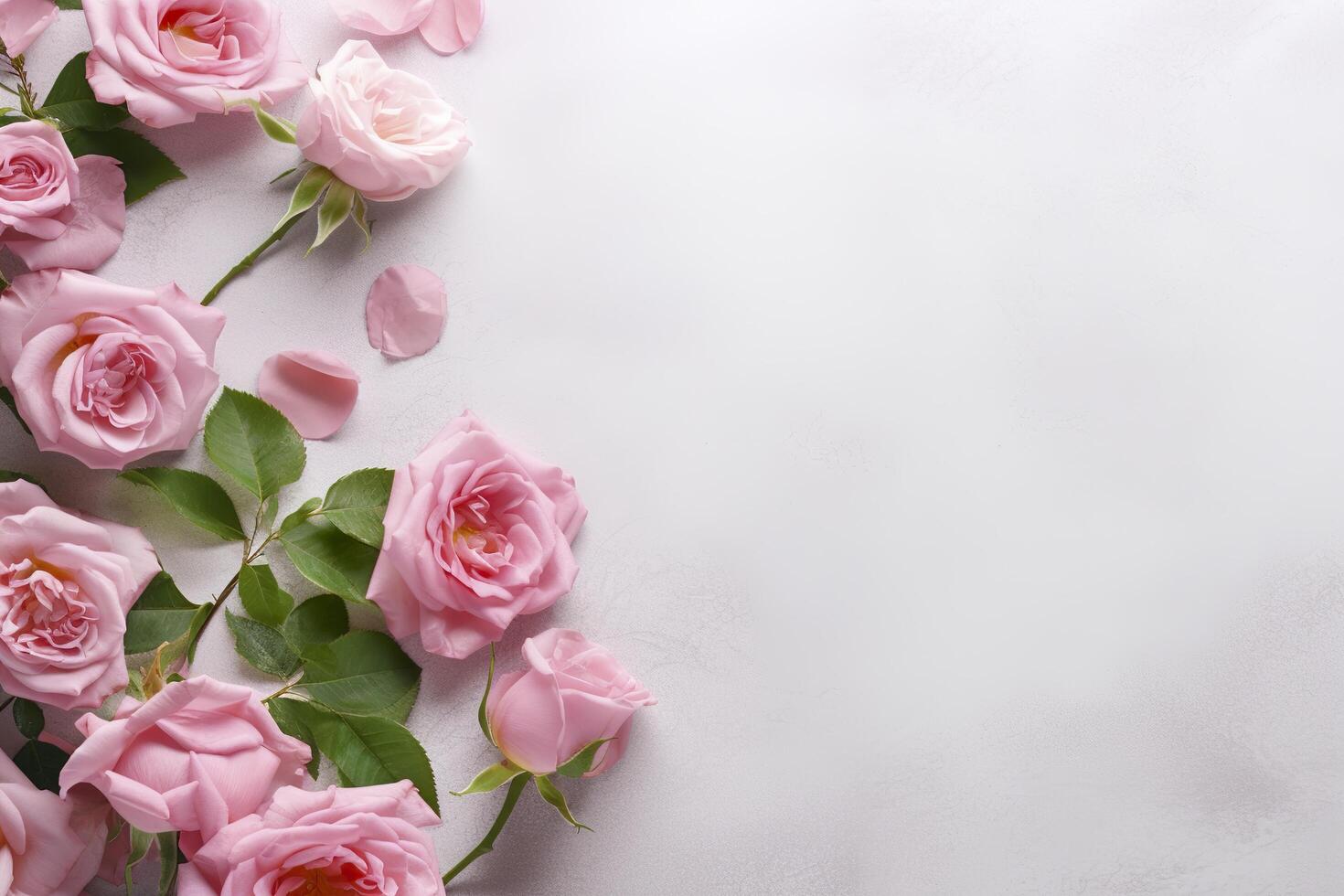 Close up of blooming pink roses flowers and petals isolated on white table background. Floral frame composition. Decorative web banner. Empty space, flat lay, top view. photo
