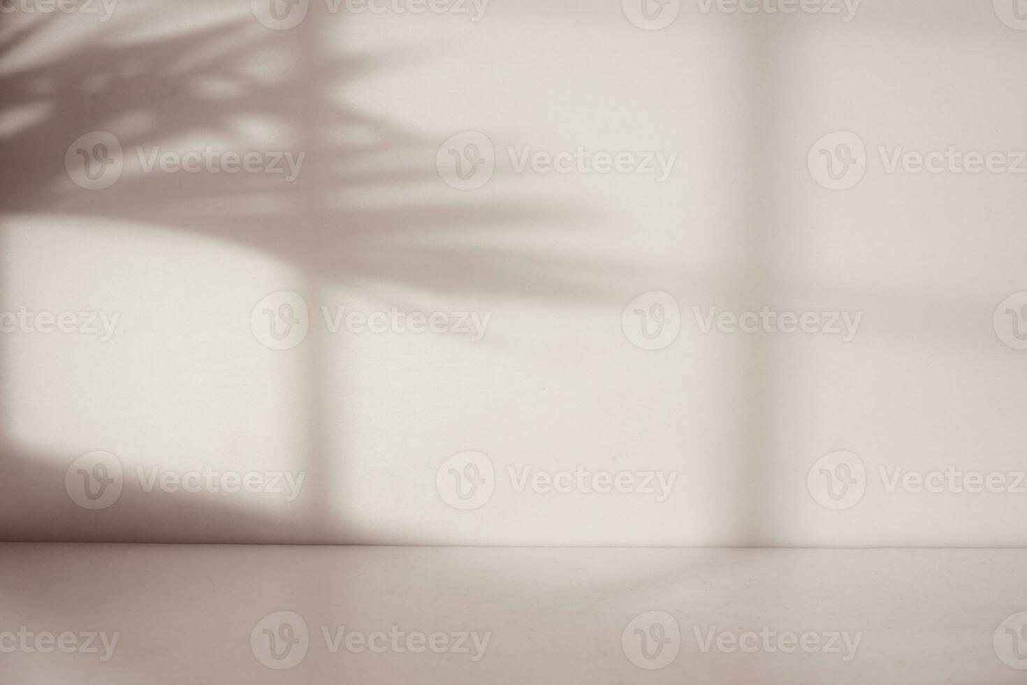 Empty room with window and palm leaf shadow photo