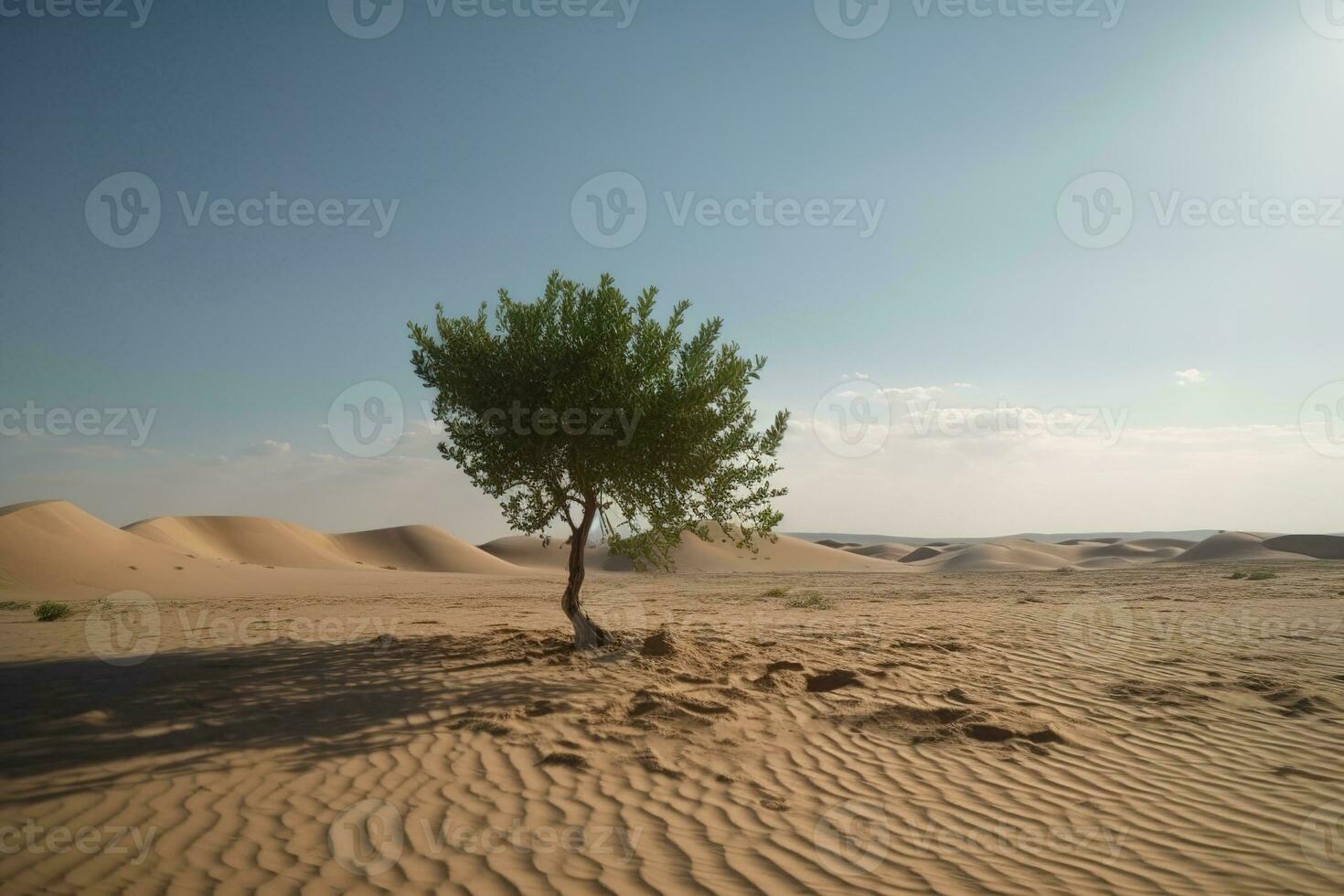 Tree lonely growing in a sandy desert under cludy sky. Generated ai. photo