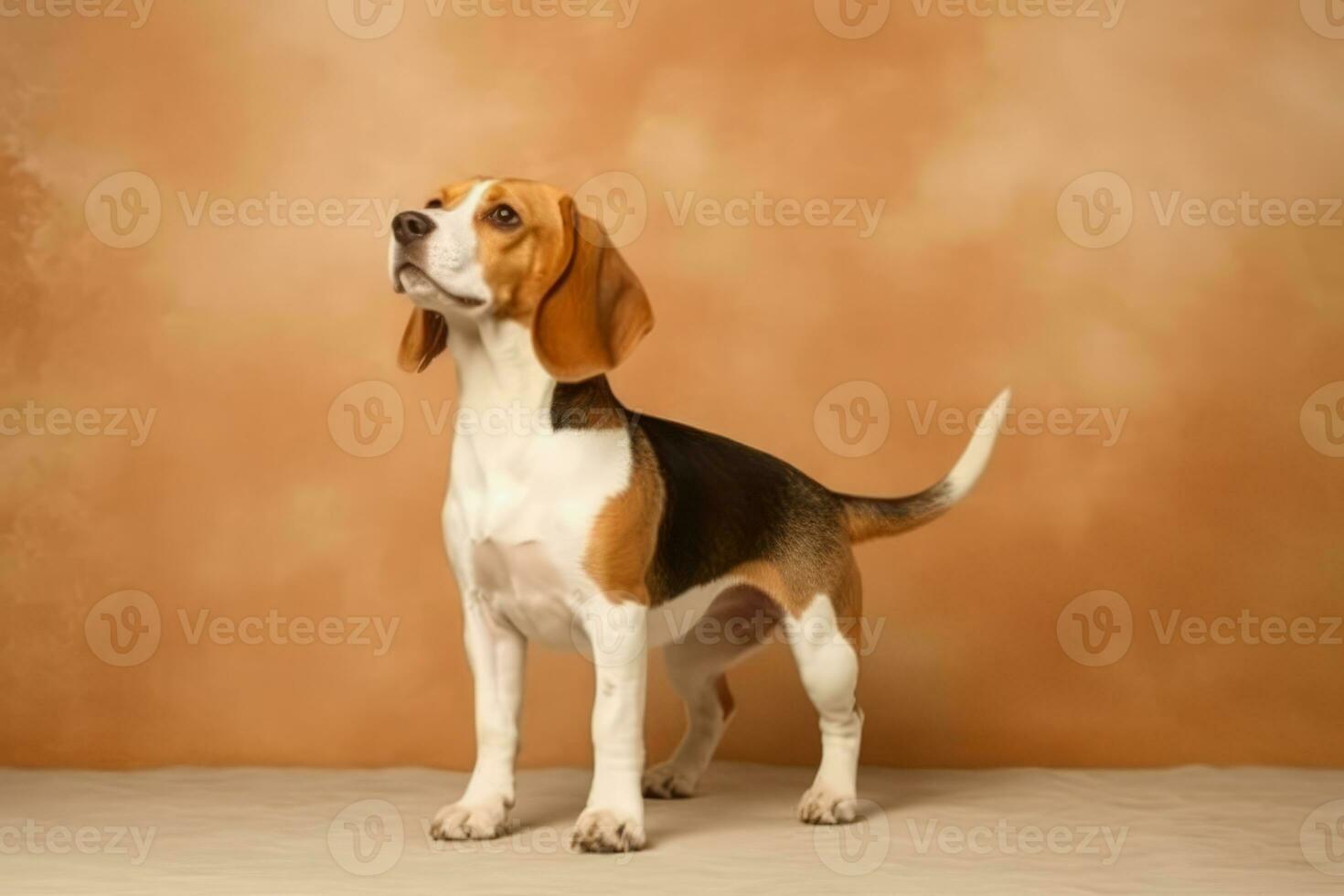 Cute Beagle in nature, national geography, Wide life animals. AI Generated. photo