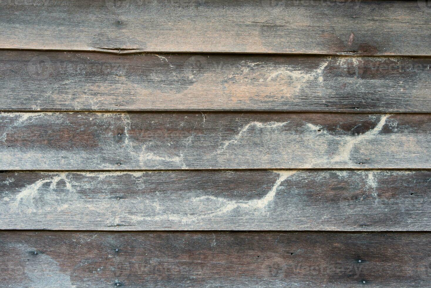 wooden texture and wallpaper photo
