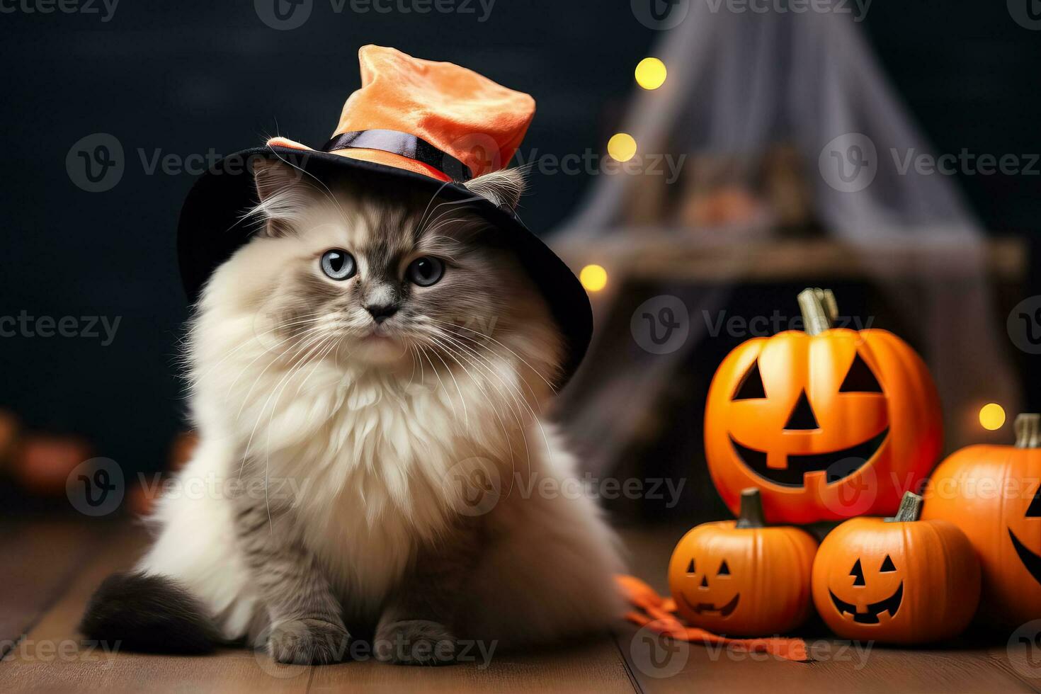 A Ragdoll cat wearing a Halloween costume photo