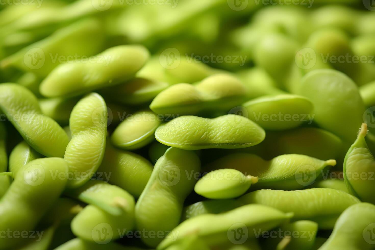 Close-up top view of ingredients Bean, Japanese food. . photo