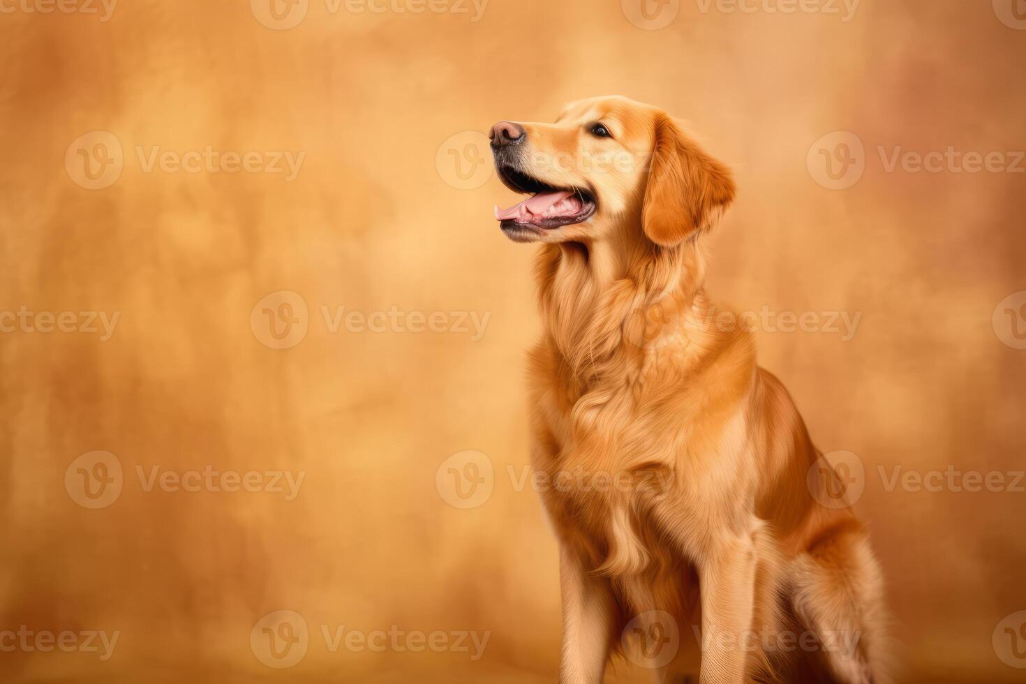 Cute Golden Retriever in nature, national geography, Wide life animals. AI Generated. photo