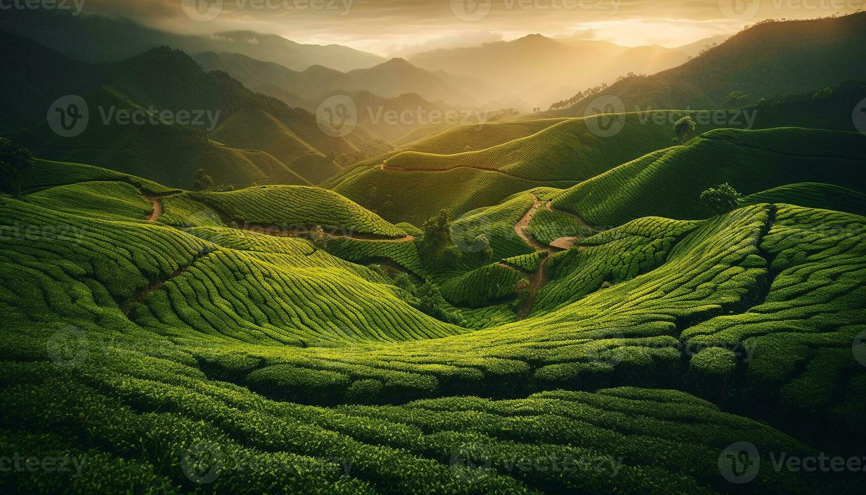 Terraced rice fields in Sa Pa, Vietnam generated by AI photo
