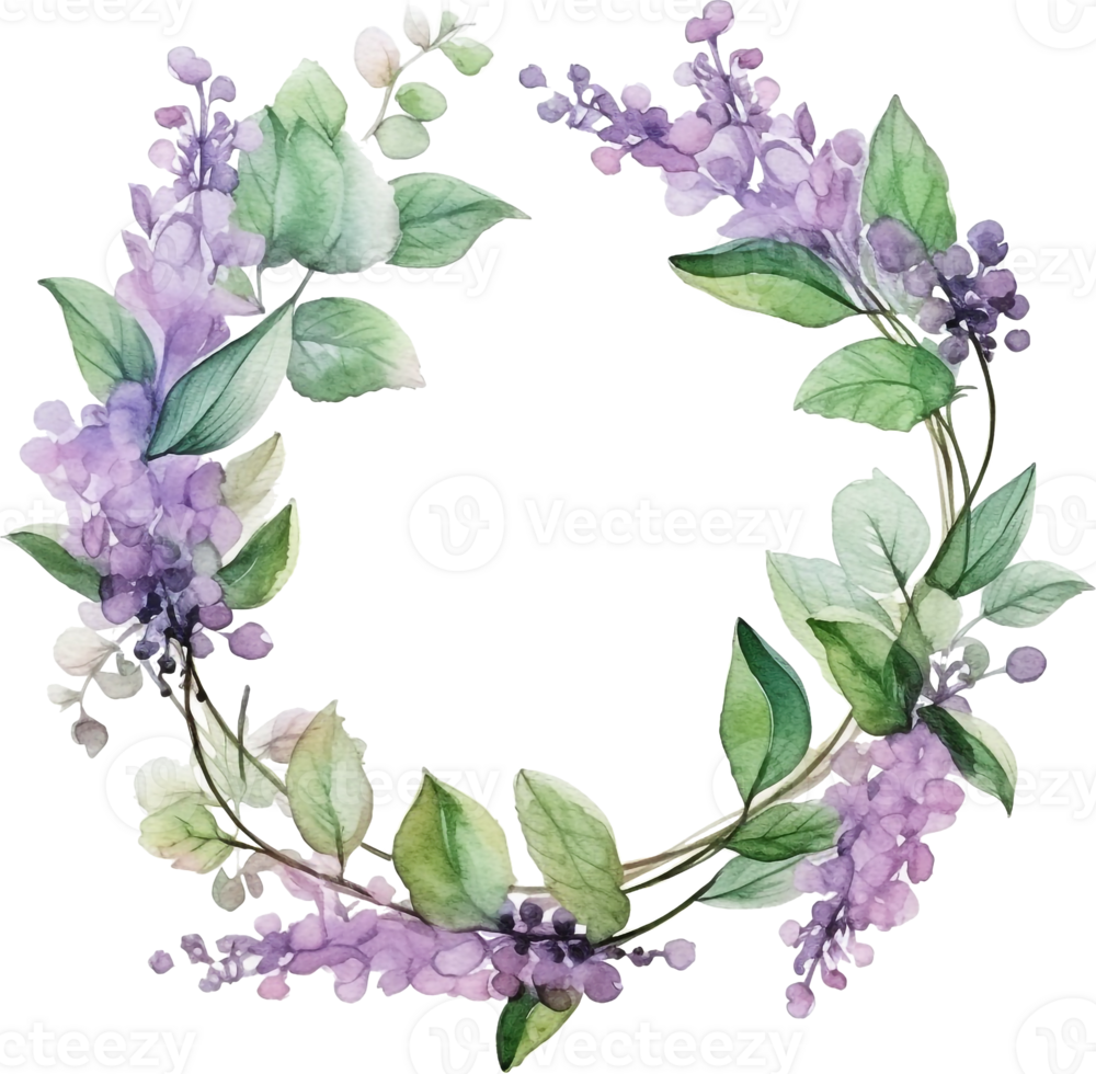 Watercolor wreath with patchouli branch with leaves and flowers. Cosmetics and medical plant. Hand drawn illustration. png