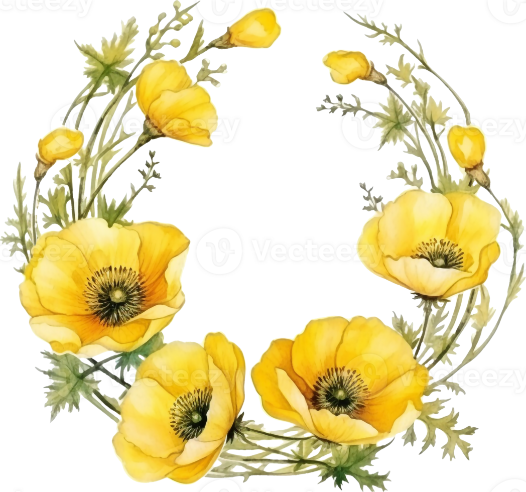 Floral composition with yellow poppy. Watercolor painted floral wreath on white background. Green wild fern branches, leaves, yellow flowers png