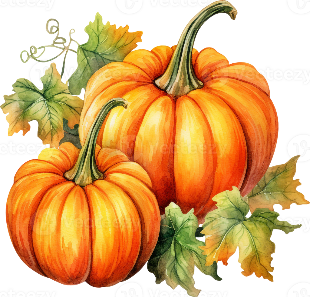 Autumn watercolor illustration with pumpkins and flowers leaves isolated on white background. Watercolor hand-painted perfect for design decorative greeting cards, or posters in the autumn festival. png