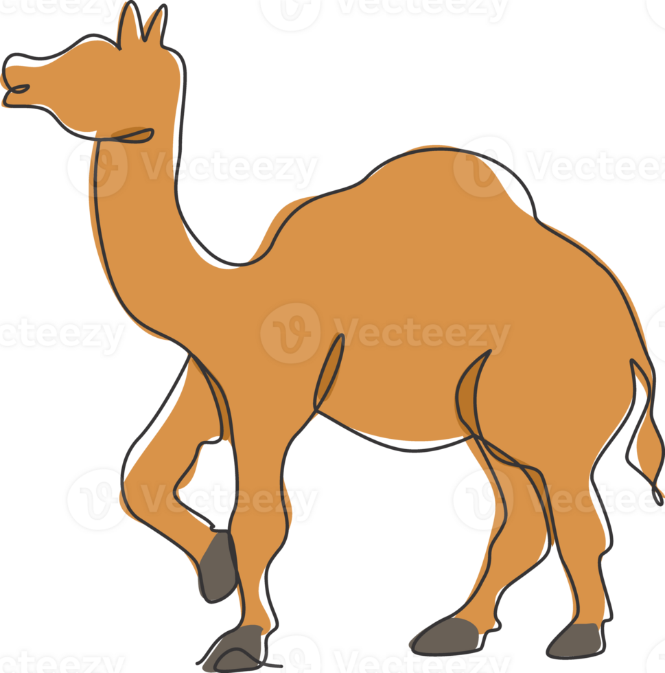 Single continuous line drawing of wild Arabian camel. Endangered animal national park conservation. Safari zoo concept. Trendy one line draw design graphic illustration png