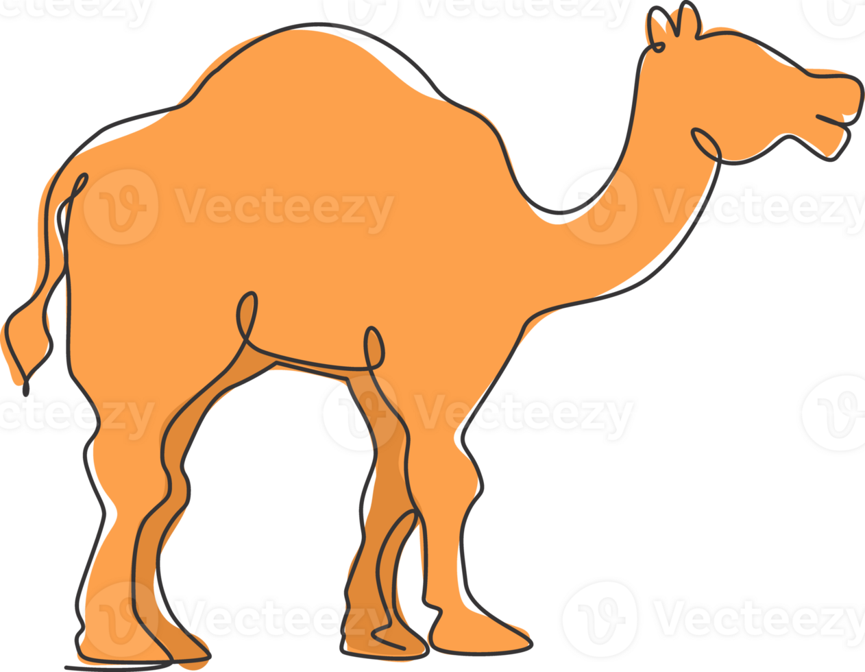 One continuous line drawing of cute Arabian camel. Wild animal national park conservation. Safari zoo concept. Dynamic single line draw design illustration graphic png