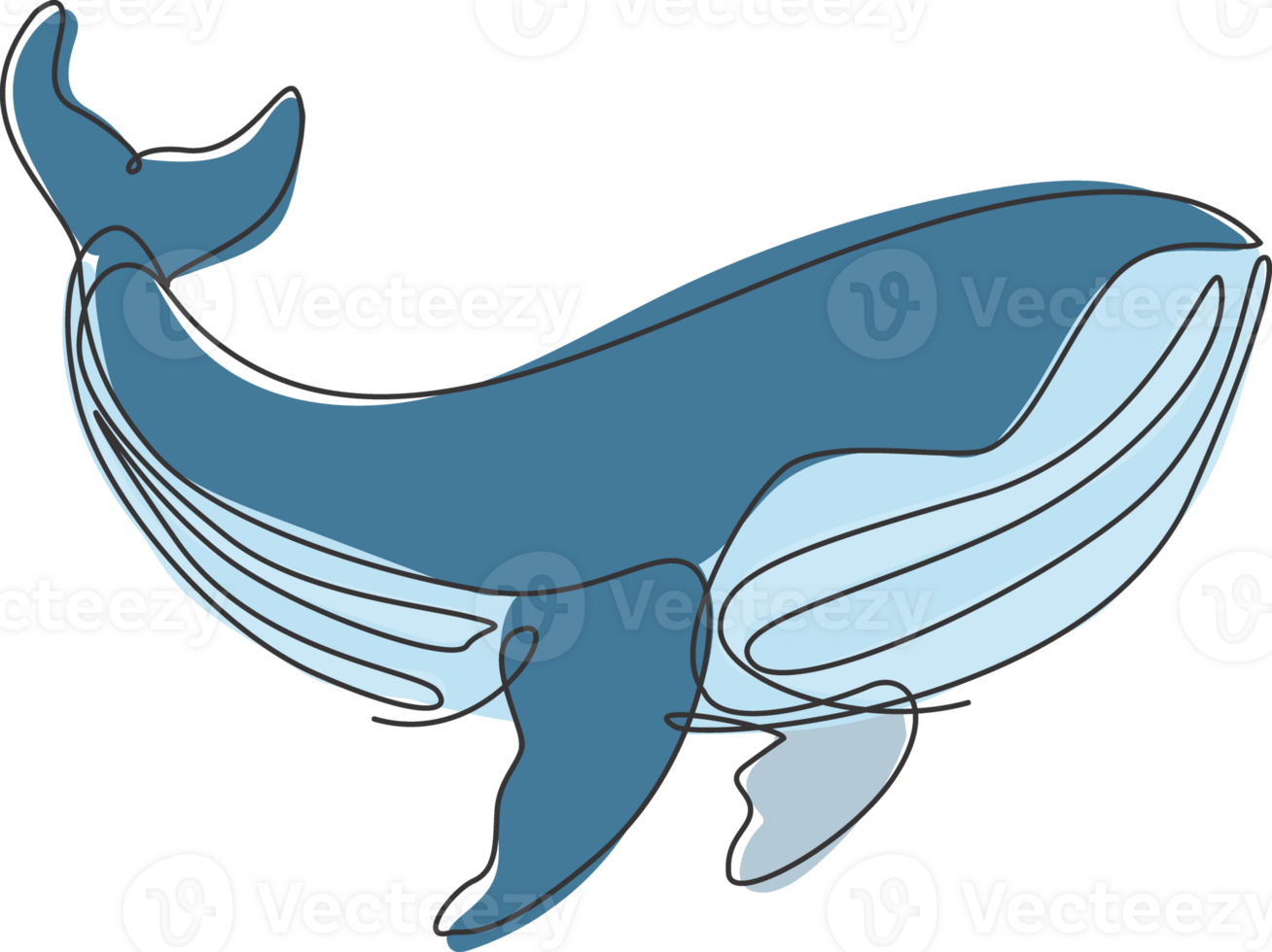 One continuous line drawing of big giant blue whale. Protected mammal animal species in ocean. Gigantic underwater creature concept. Dynamic single line draw design illustration graphic png