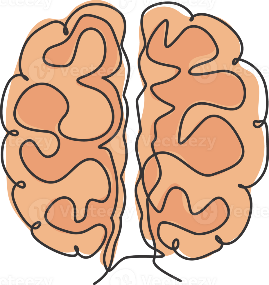 um desenho de linha contínua do emblema do logotipo do ícone de anatomia do cérebro humano. órgão médico para o conceito de modelo de logotipo de símbolo de conhecimento de neurologia. ilustração gráfica moderna de desenho de linha única png