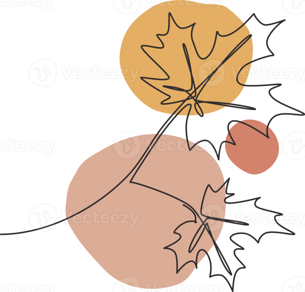 Single continuous line drawing spring maple leaf. Botany style concept for posters, wall art, tote bag, mobile case, t-shir, sticker print. Trendy one line draw design graphic illustration png