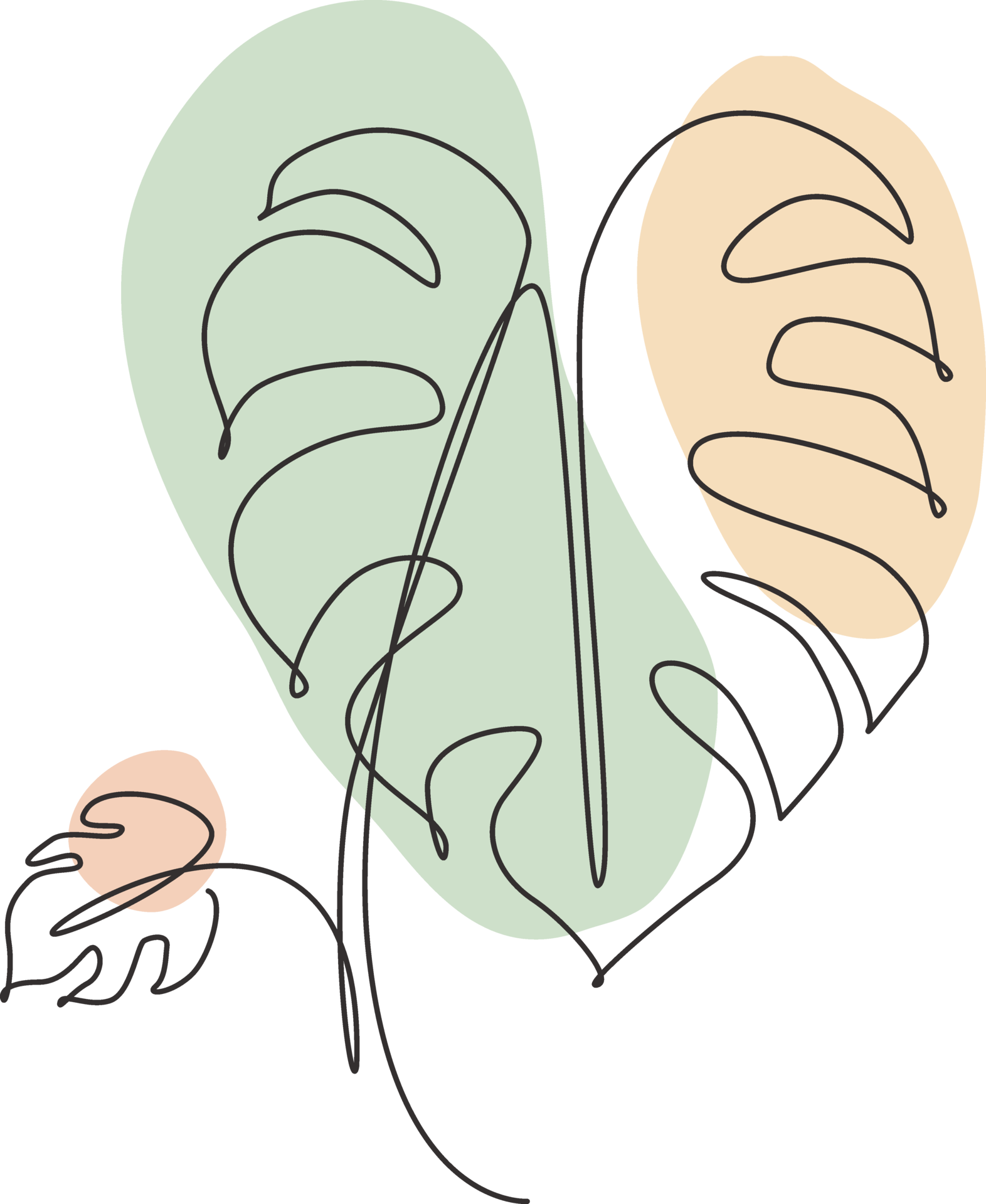 Single continuous line drawing minimal monstera leaf. Botany style ...