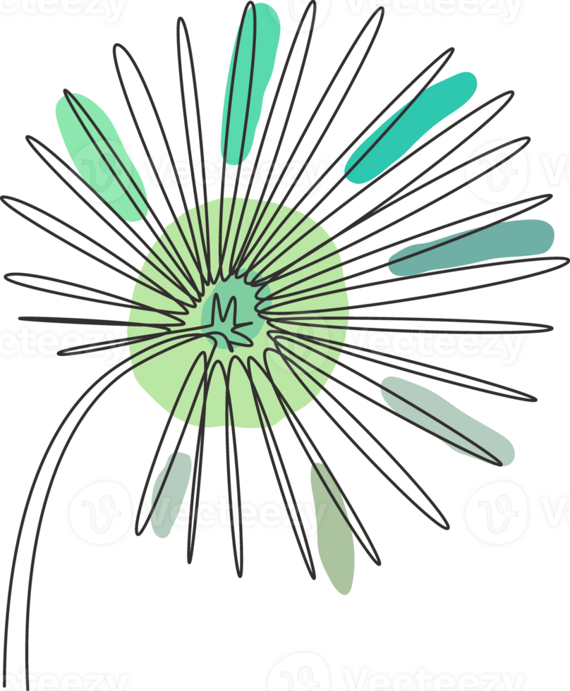 een doorlopend lijn tekening tropisch palm livistona rotundifolia blad. minimaal natuurlijk eco concept. huis muur decor, poster, tote tas, kleding stof afdrukken. single lijn trek ontwerp grafisch illustratie png