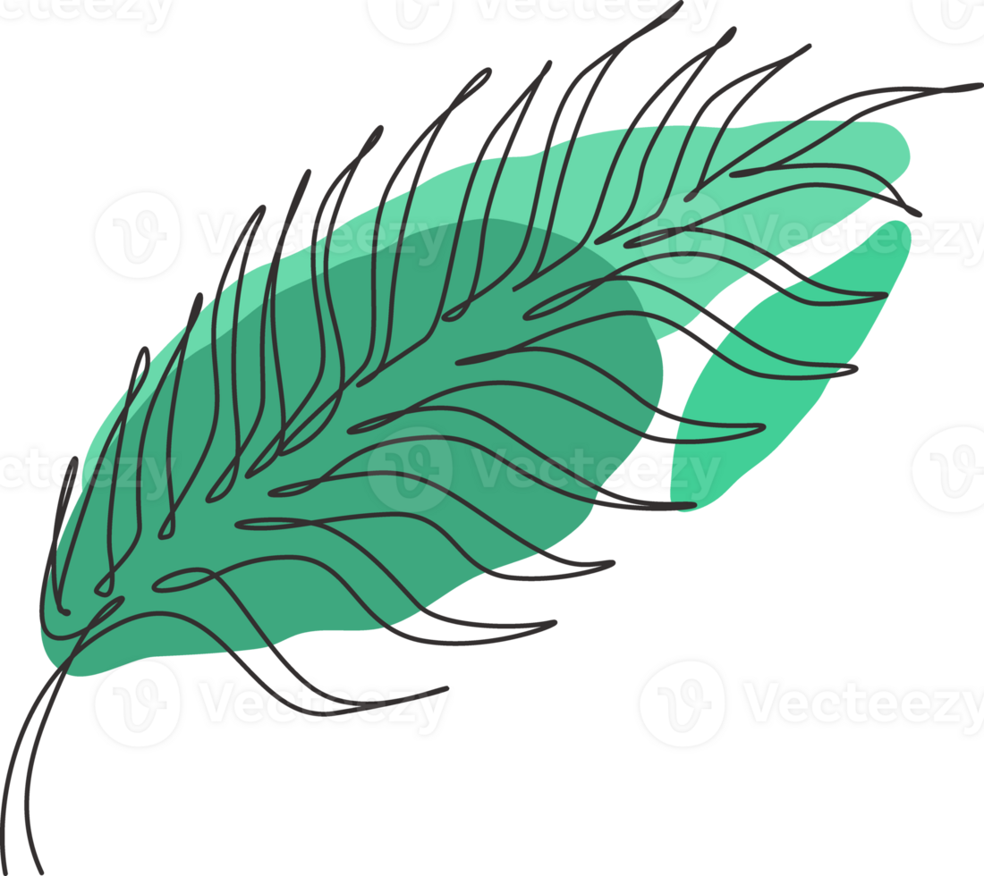 Single continuous line drawing palm faux areca leaf. Botany style concept for posters, wall art, tote bag mobile case, t-shir,t sticker print. Trendy one line draw design graphic illustration png