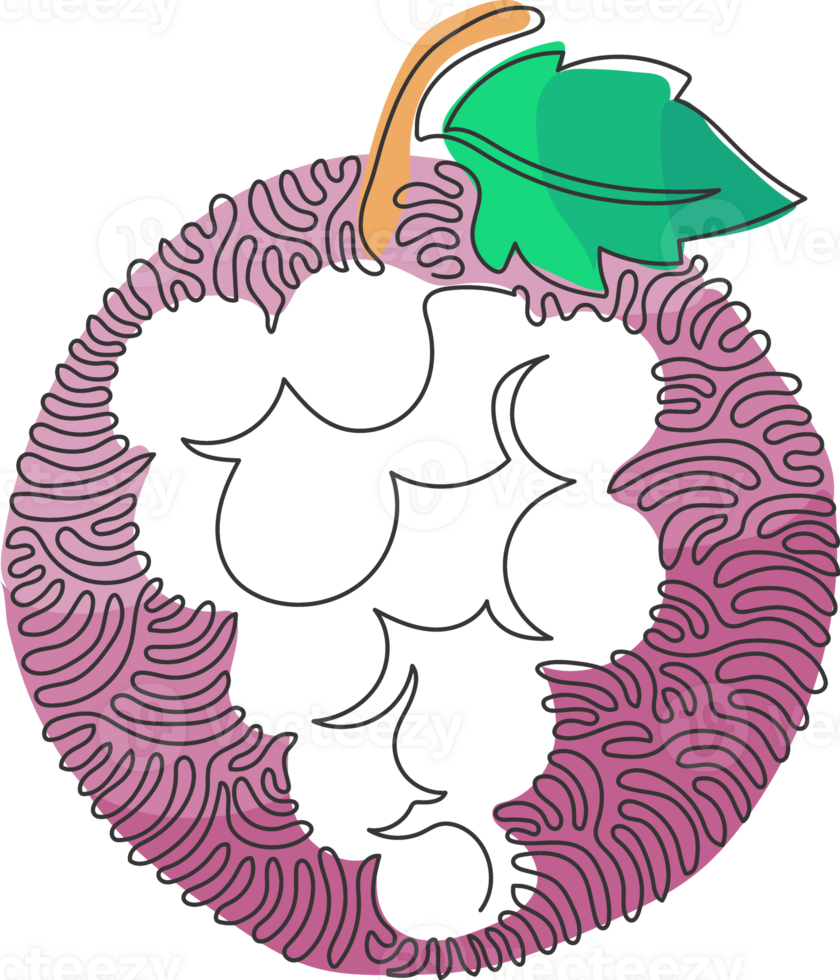 solteiro 1 linha desenhando saudável orgânico uvas para Vinhedo logotipo. fresco tropical frutificação conceito para fruta Pomar jardim ícone. redemoinho ondulação círculo estilo. contínuo linha desenhar Projeto png