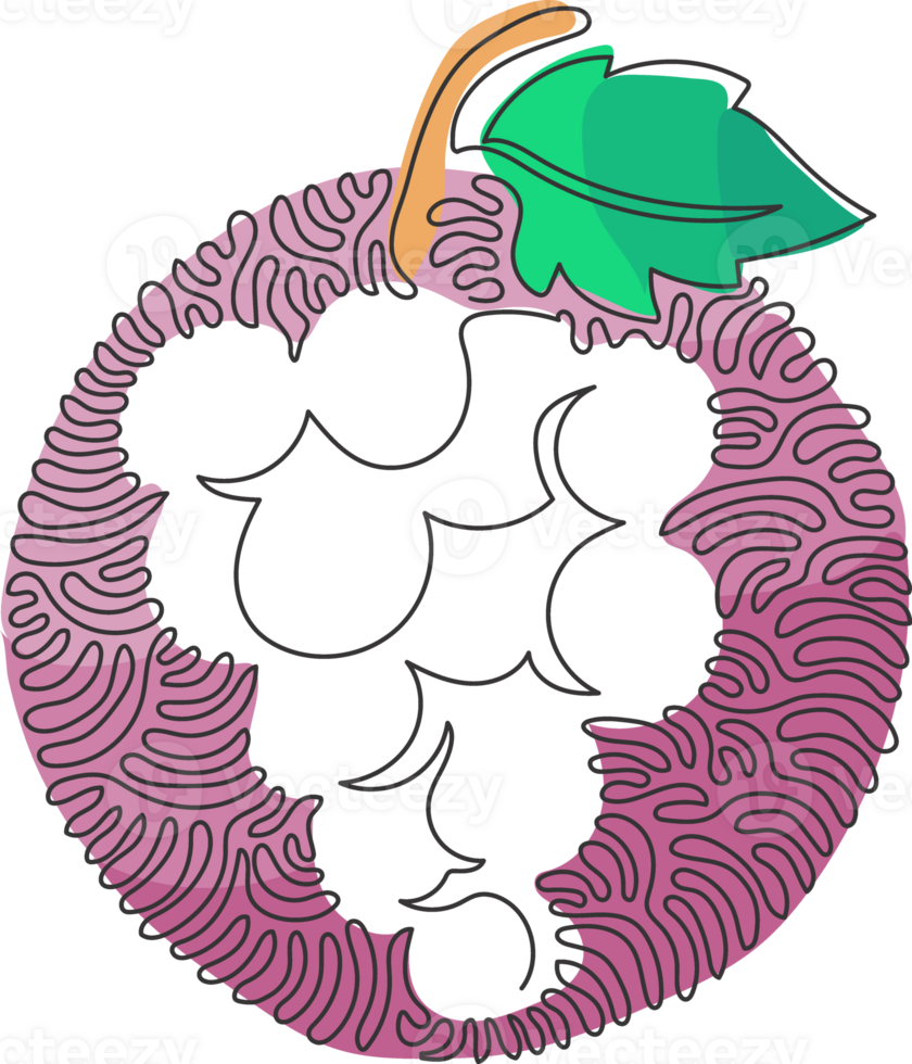 single een lijn tekening gezond biologisch druiven voor wijngaard logo. vers tropisch vrucht concept voor fruit boomgaard tuin icoon. kolken krullen cirkel stijl. doorlopend lijn trek ontwerp png