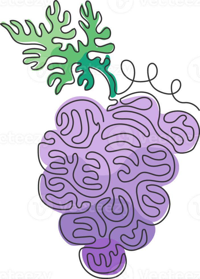 solteiro contínuo linha desenhando saudável orgânico uvas para Vinhedo logotipo identidade. fresco tropical frutificação conceito para fruta Pomar jardim ícone. redemoinho ondulação estilo. 1 linha desenhar gráfico Projeto png