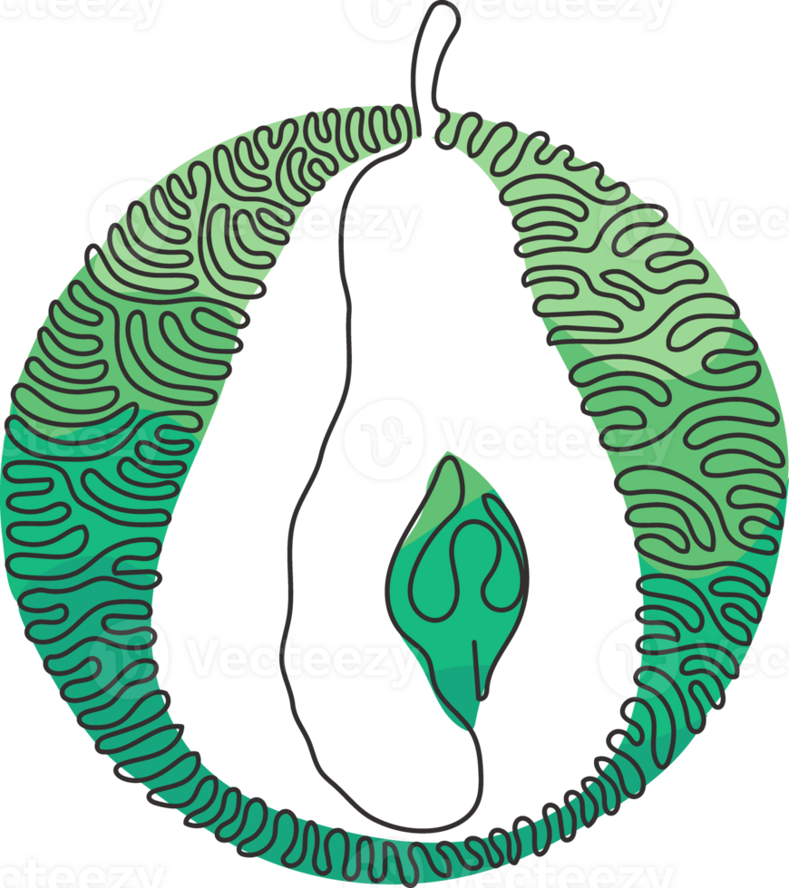 Single one line drawing sliced healthy organic pear for orchard logo. Fresh summer fruitage for fruit garden icon. Swirl curl circle style. Continuous line draw design illustration png