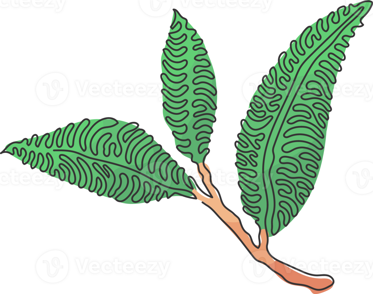 Single continuous line drawing healthy organic tea leaves for plantation logo identity. Fresh tender bud of tea shoot concept for tea leaf icon. Swirl curl style. Dynamic one line draw design png