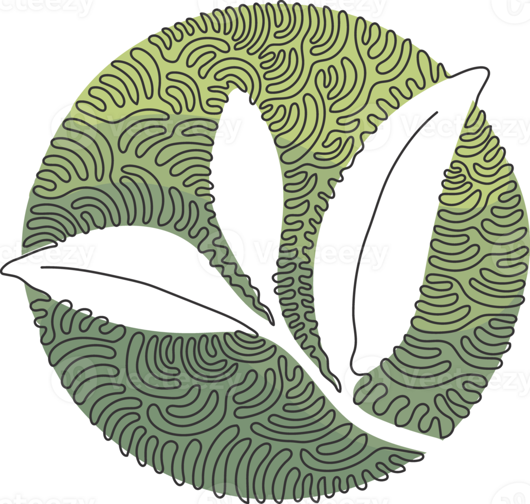 Single continuous line drawing healthy organic tea leaves for plantation logo identity. Fresh tender bud of tea shoot for tea leaf icon. Swirl curl circle style. One line draw design png