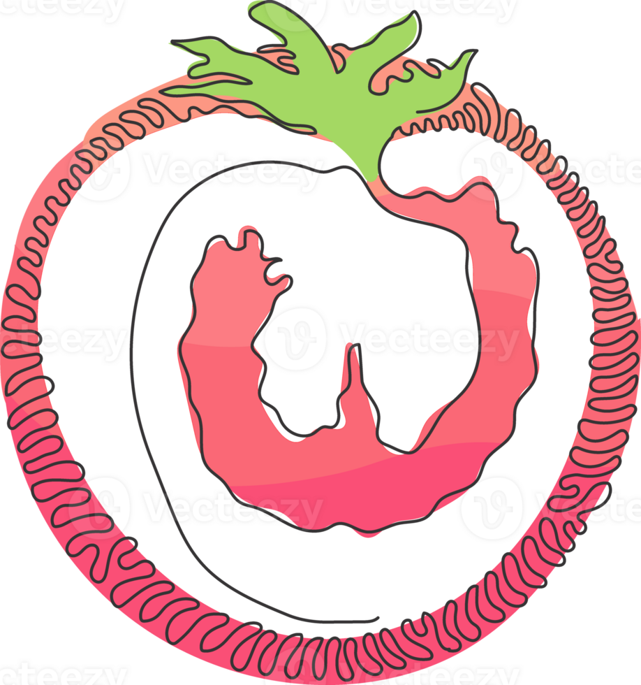 Single continuous line drawing sliced healthy organic tomato for farming logo identity. Fresh tropical vegetable concept for vegie garden icon. Swirl curl circle style. One line draw png