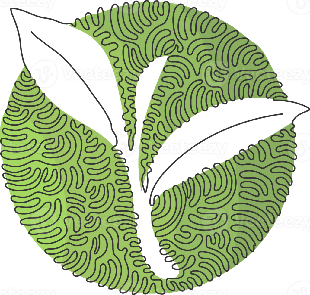 Single one line drawing whole healthy organic tea leaf for herbal drink logo identity. Fresh nature for tea plantation icon. Swirl curl circle style. Continuous line draw design png