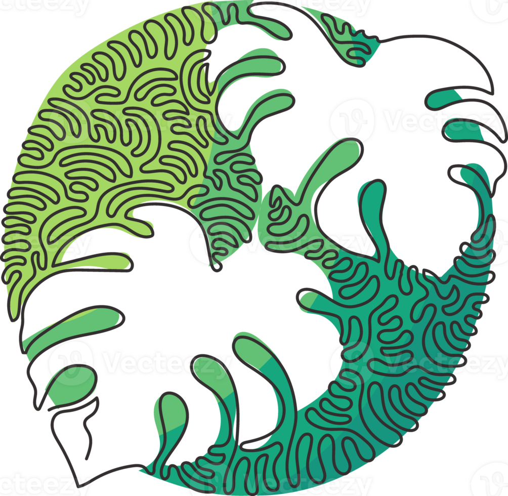 Single continuous line drawing monstera leaf. Tropical leaves minimalistic style, floral pattern concept for poster, wall decor print. Swirl curl circle style. One line draw design png