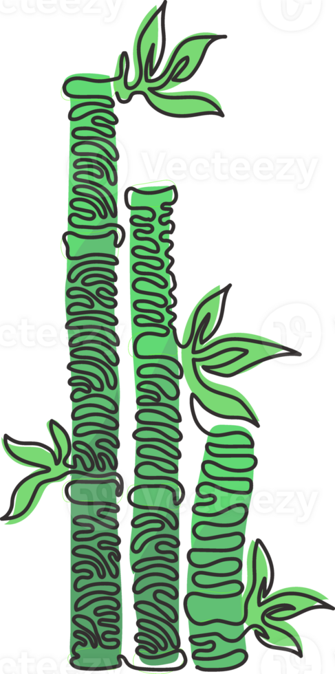 Single one line drawing bamboo trees for plantation logo identity. Fresh evergreen perennial flowering plant concept for plant icon. Swirl curl style. Modern continuous line draw design graphic png