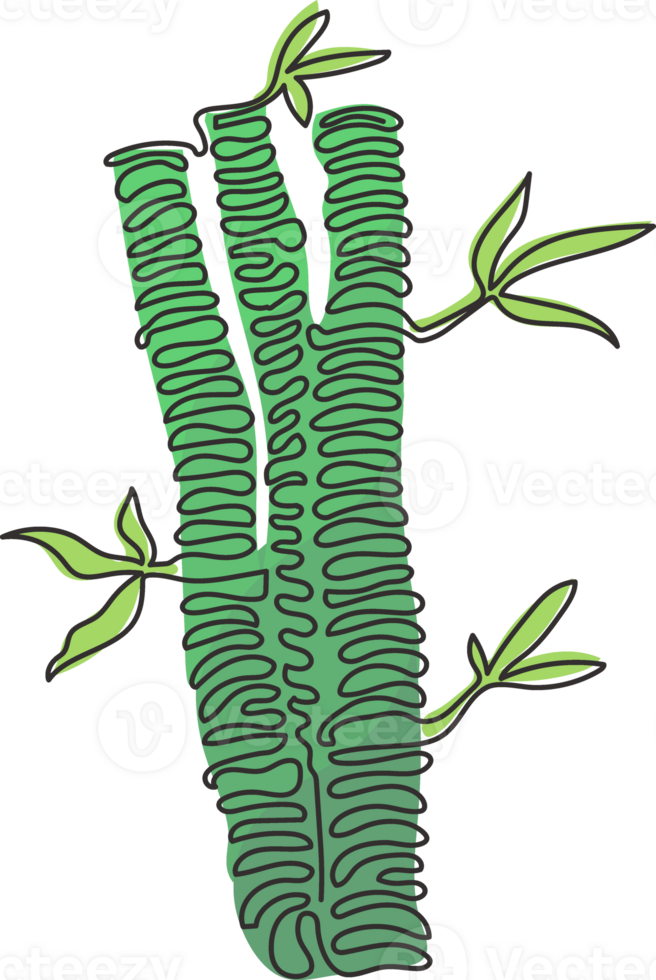 Continuous one line drawing bamboo trees for plantation logo identity. Fresh evergreen perennial flowering plant concept for plant icon. Swirl curl style. Single line draw design illustration png