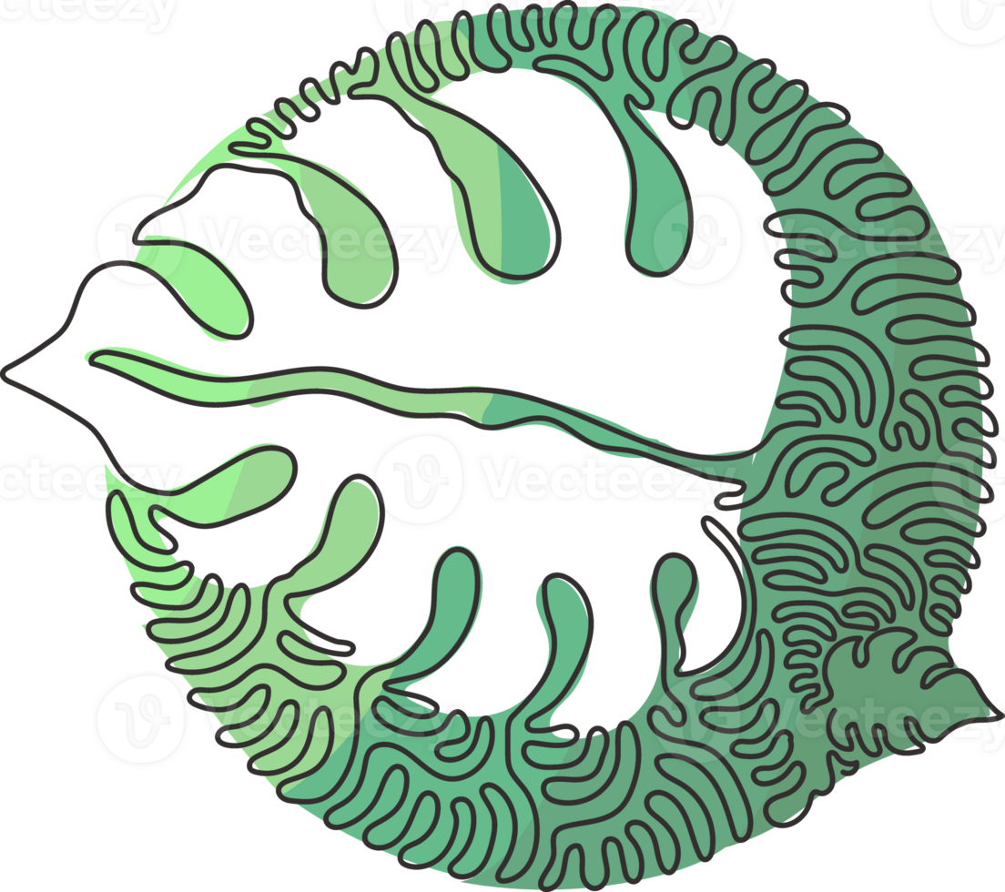 Single continuous line drawing minimal monstera leaf. Botany style concept for posters, wall art, tote bag, t-shirt, sticker print. Swirl curl circle style. One line draw design png