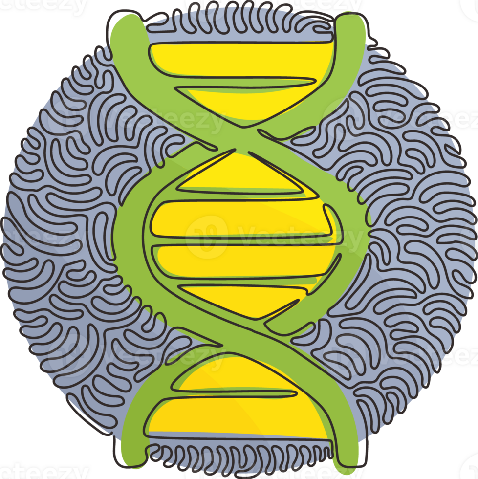 Single one line drawing DNA icons. Life gene model bio code genetics molecule medical symbols. Structure molecule, chromosome. Swirl curl circle style. Continuous line draw design graphic png
