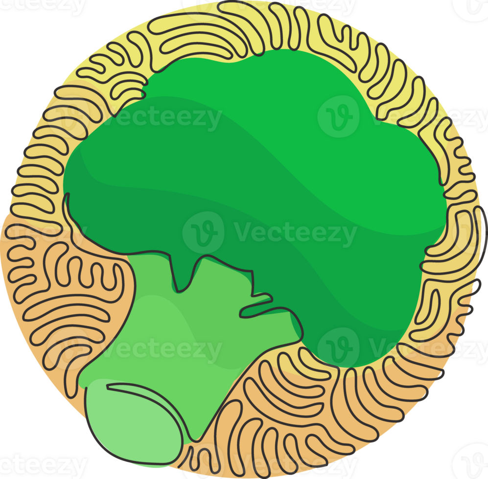 Single continuous line drawing fresh green broccoli. Cabbage broccoli fresh vegetable. Healthy food or cuisine. Swirl curl circle style. One line draw graphic design illustration png