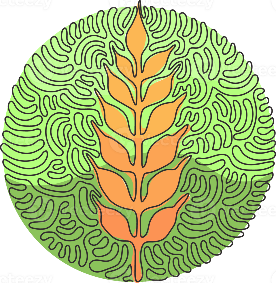 Single continuous line drawing wheat ears icon. Agriculture farm logo. Natural product grain sign. Swirl curl circle style. Dynamic one line draw graphic design illustration png