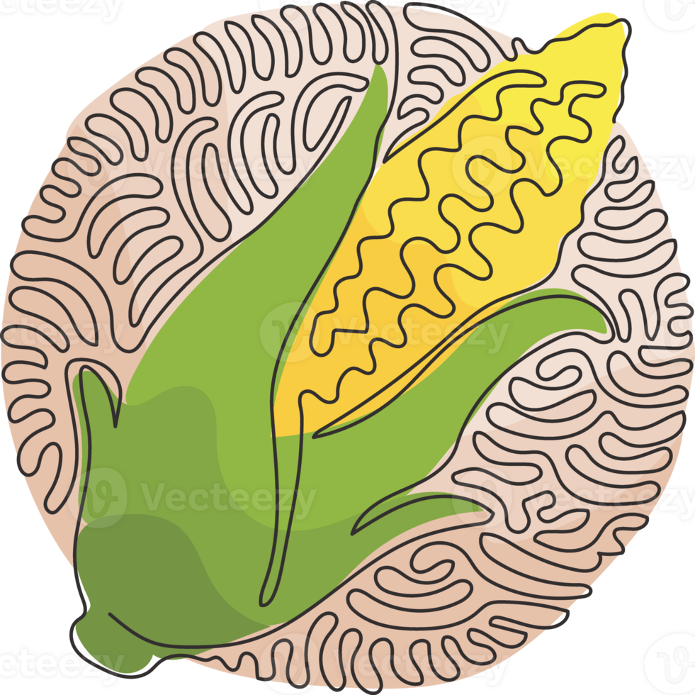 Single one line drawing husked cobs of sweet corn. Fresh vegetable with high sugar. Immature harvested. Swirl curl circle style. Continuous line draw design graphic illustration png