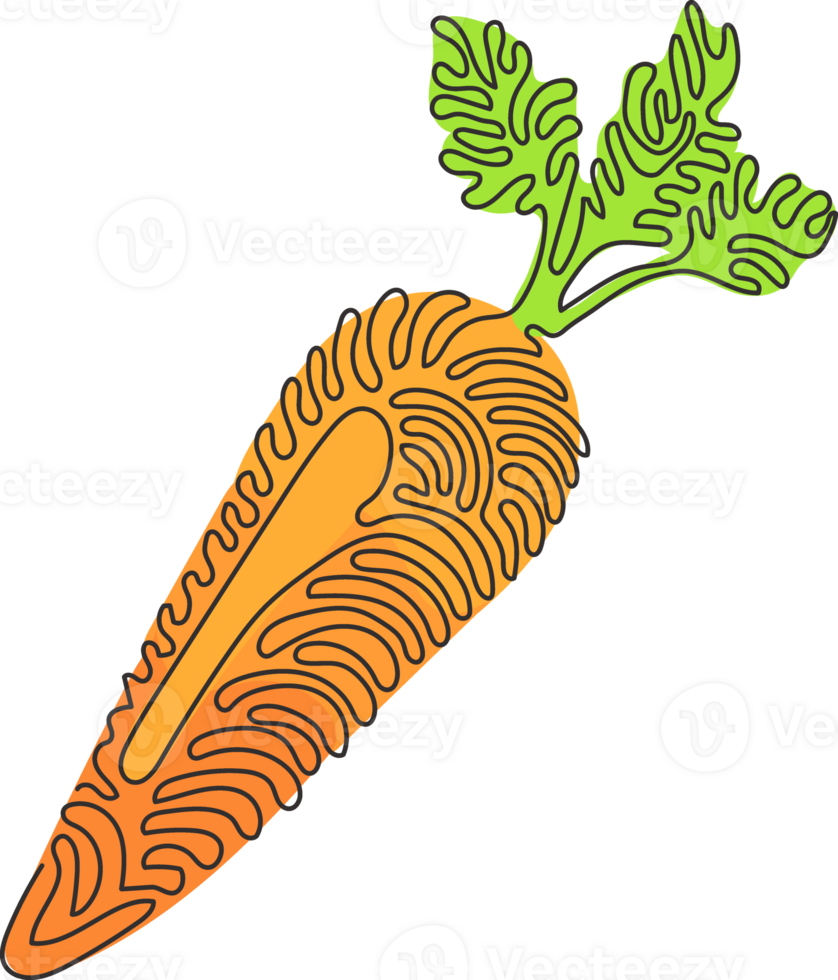 Continuous one line drawing fresh orange carrot with green leaves, health food. Carrot fresh vegetable healthy food. Swirl curl style concept. Single line draw design graphic illustration png