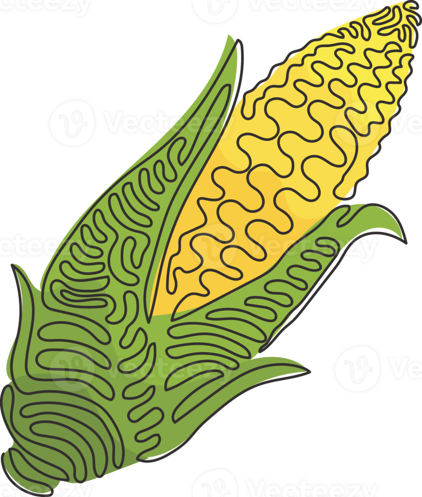 Single continuous line drawing husked cobs of sweet corn. Fresh vegetable with high sugar content. Immature harvested. Swirl curl style. Dynamic one line draw graphic design illustration png