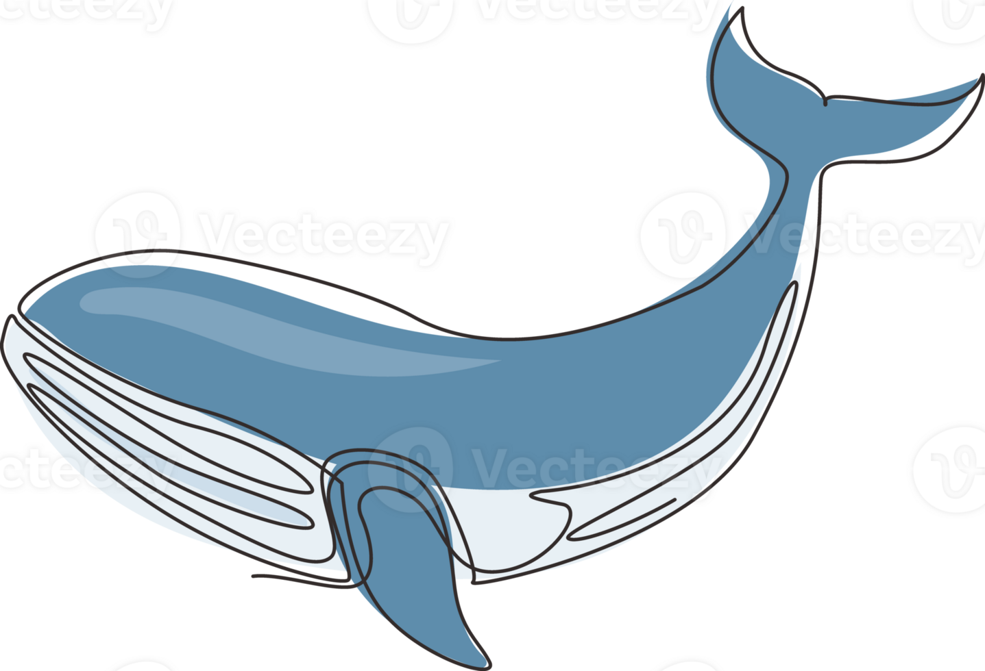 singolo uno linea disegno selvaggio balena pesce nuoto nel mare vita. marino animale portafortuna per acquatico nuoto piscina. blu balena sotto oceano acqua. continuo linea disegnare design grafico illustrazione png